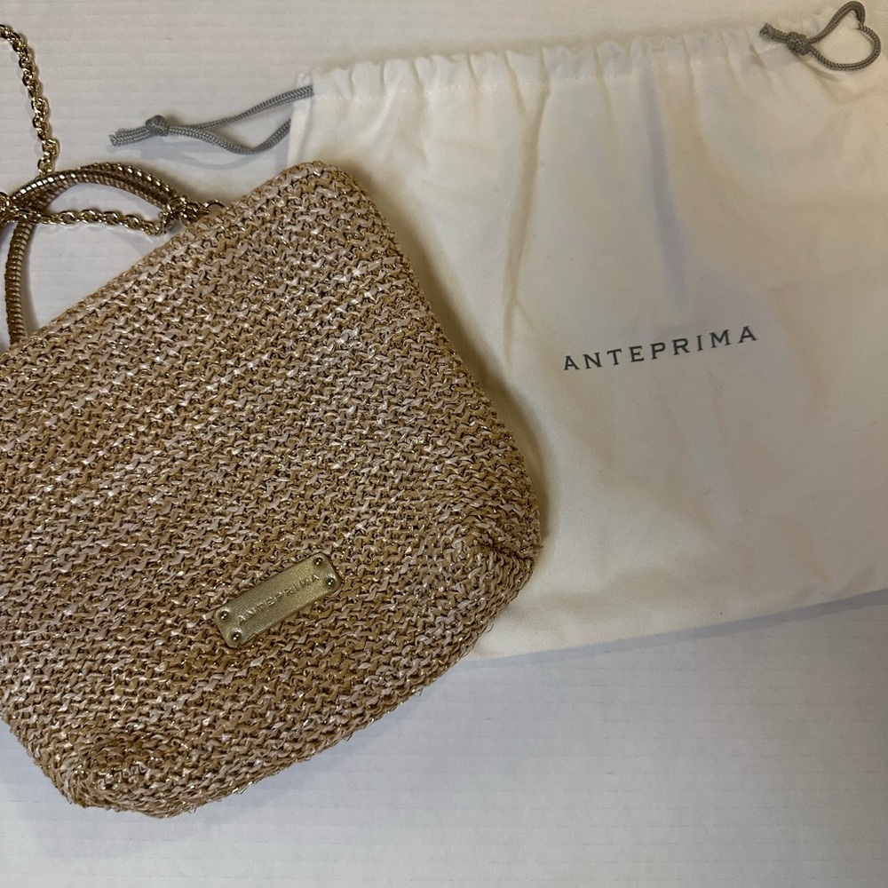 Anteprima Chic Woven Mini Bag with Chain Strap